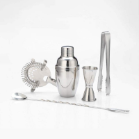 Cocktail Shaker Set Professional 5 Piece Stainless Steel Cocktail Barware Set 250ml Cocktail Shaker